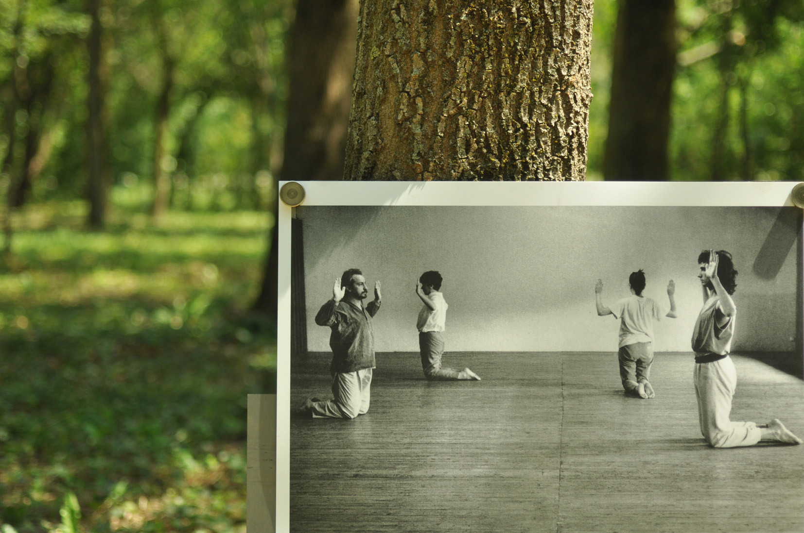 opere idea salute brescia